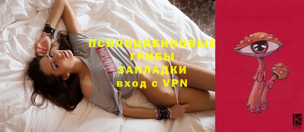 дурь Арсеньев