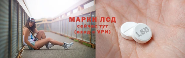 спиды Аркадак